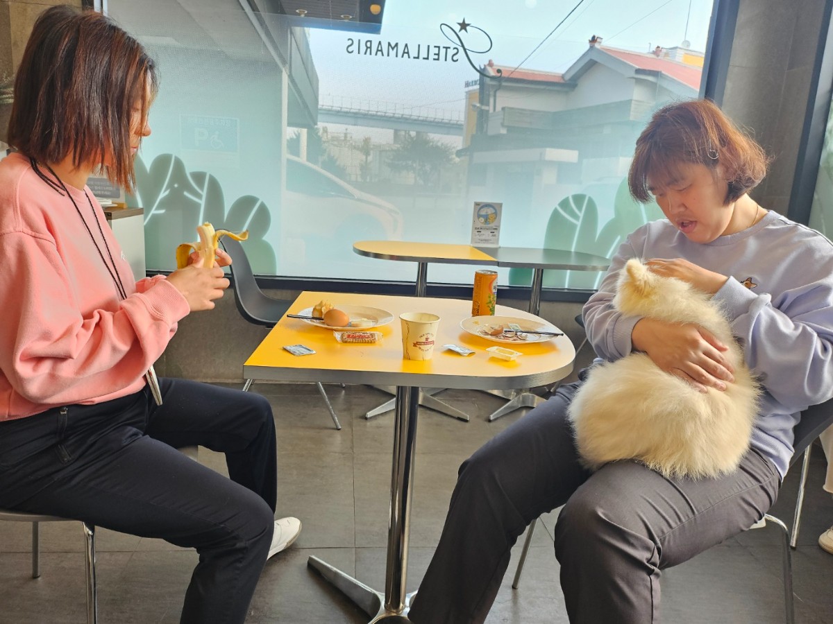 KakaoTalk_20241017_142210986_20.jpg